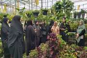 بازدید رابطین سلامت از گلخانه منطقه ایرین شهرستان اسلامشهر